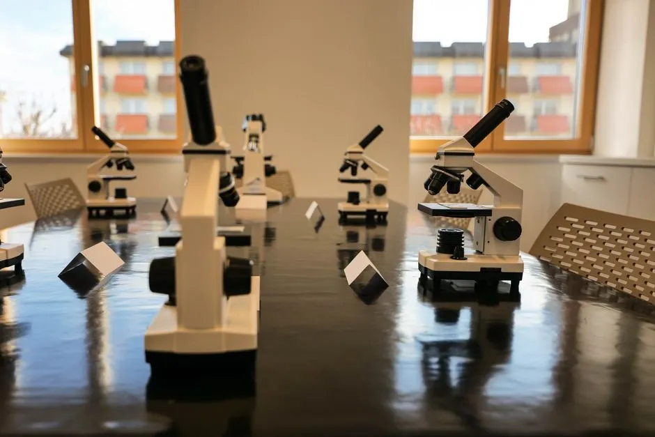 A classroom laboratory table lined with microscopes, illustrative of life science lab work